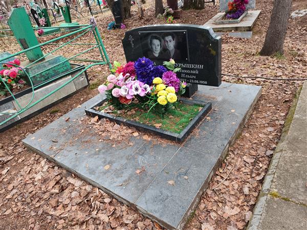 Курышкин Николай Ильич