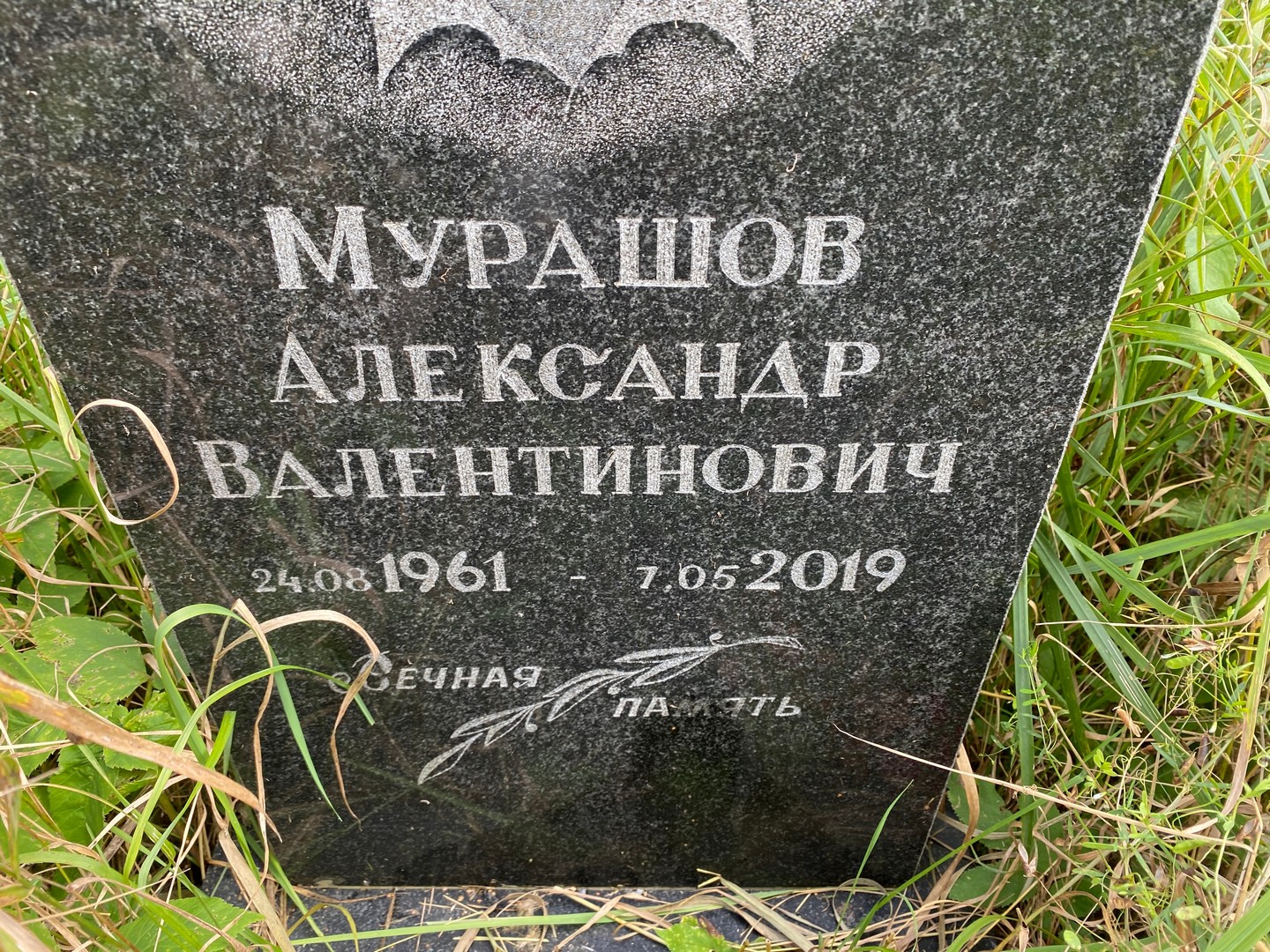 Мурашов