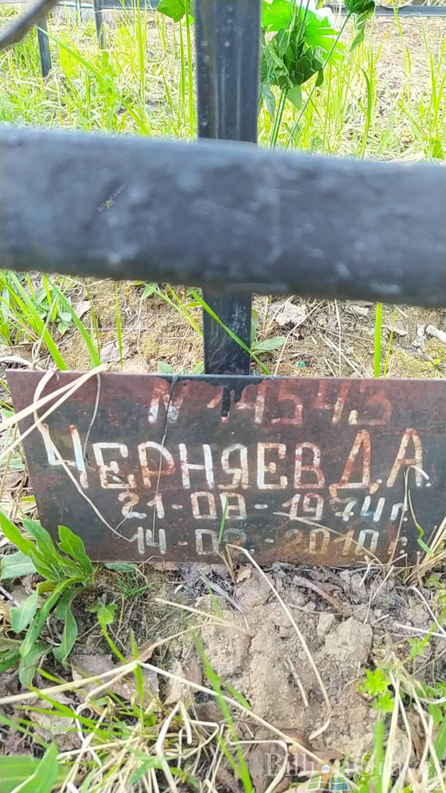 Черняев Д. А.