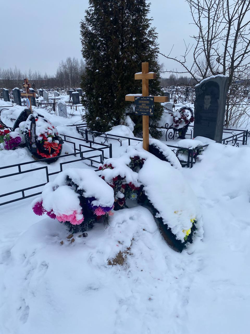 Топленинова
