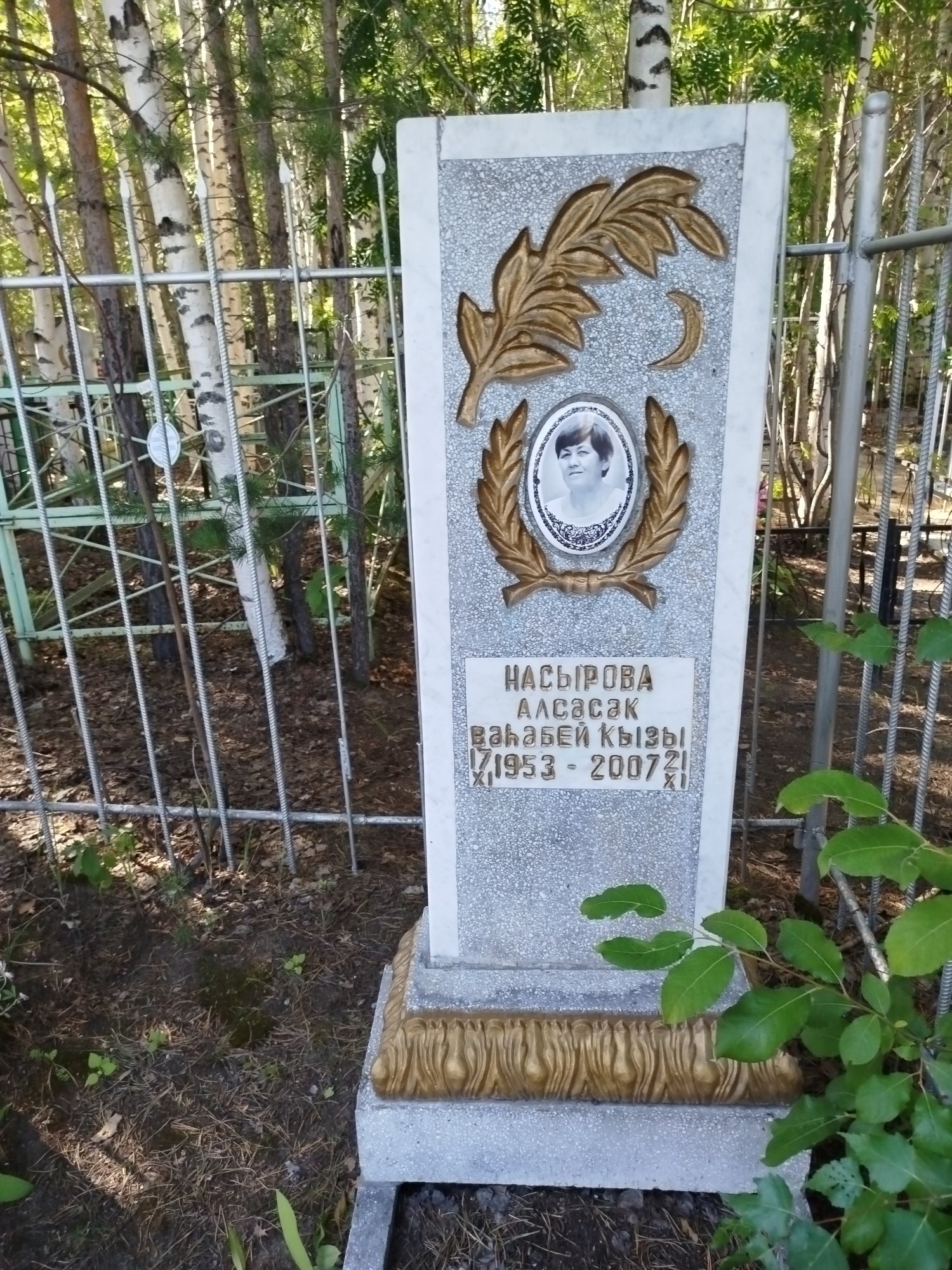 Насырова Алсасак Вахабей Кызы