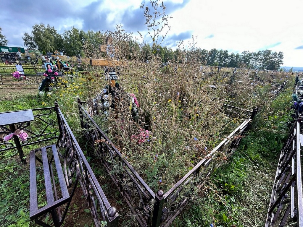 Вилкова Наталья Васильевна