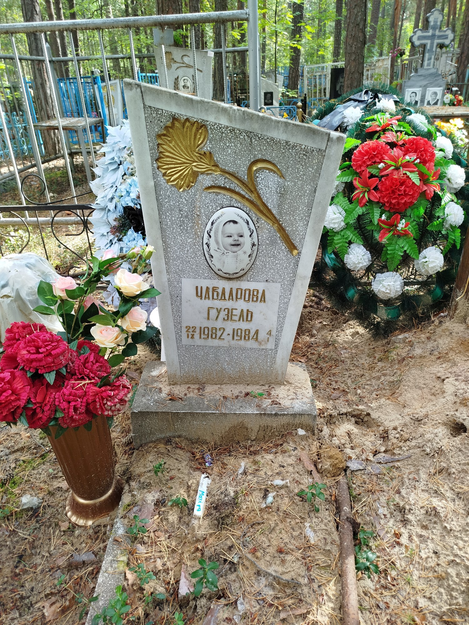 Чабдарова Гузель