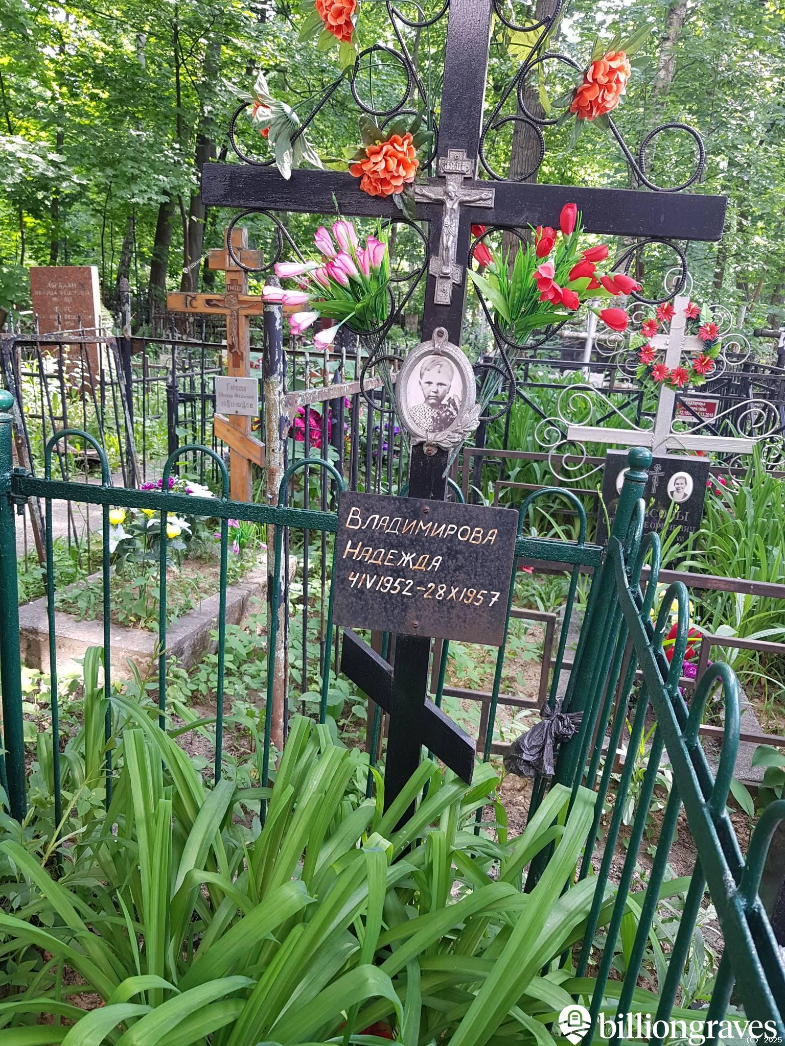Владимирова Надежда