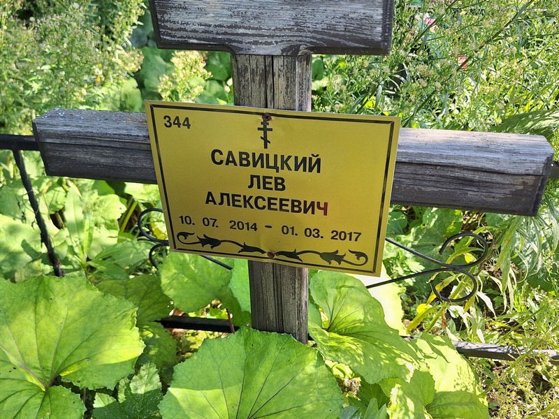 Лев Савицкий Алексеевич
