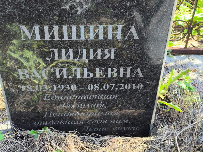 Мишина