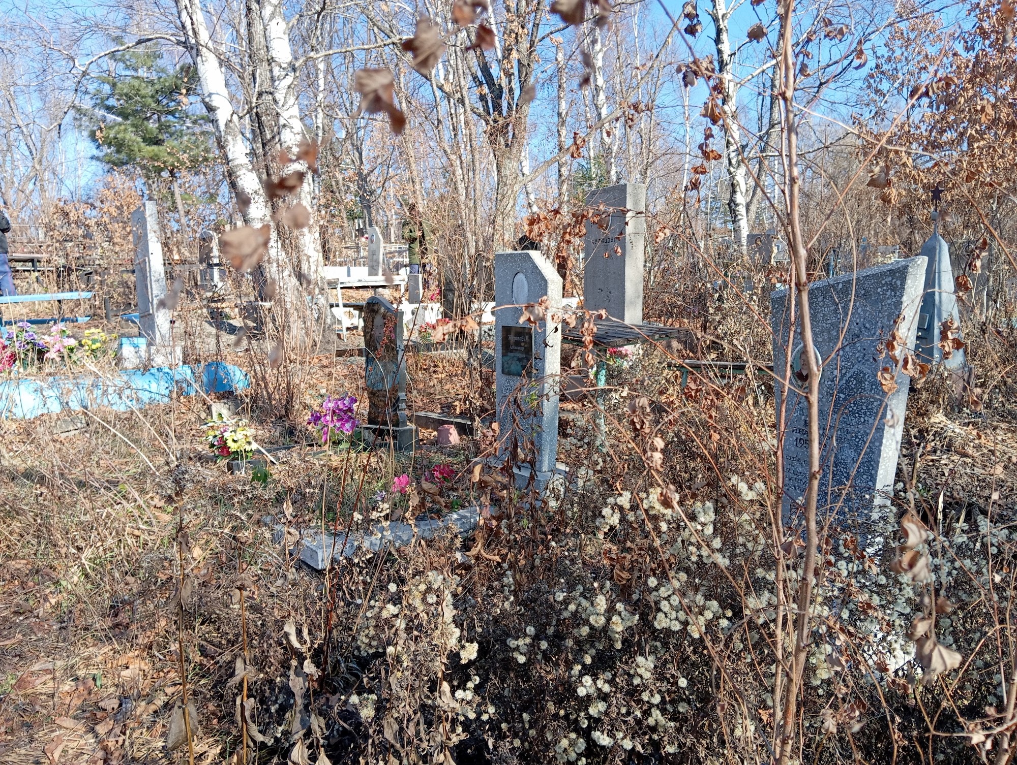 Журавлев Александр Анатольевич