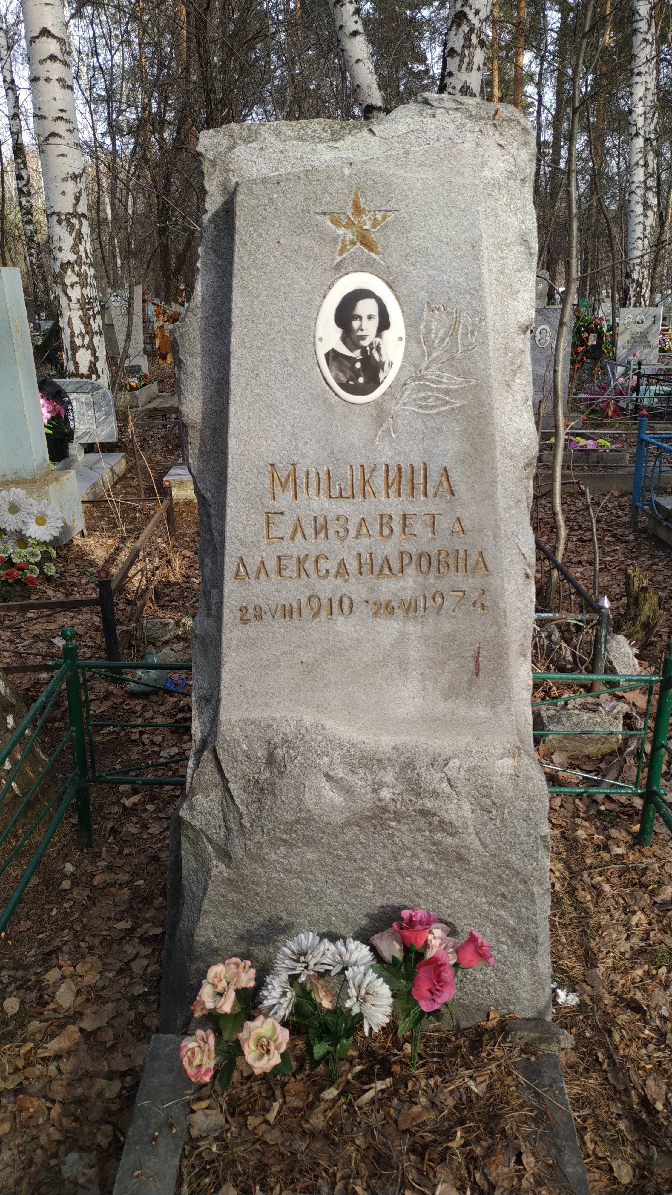 Мишкина Елизавета Александровна