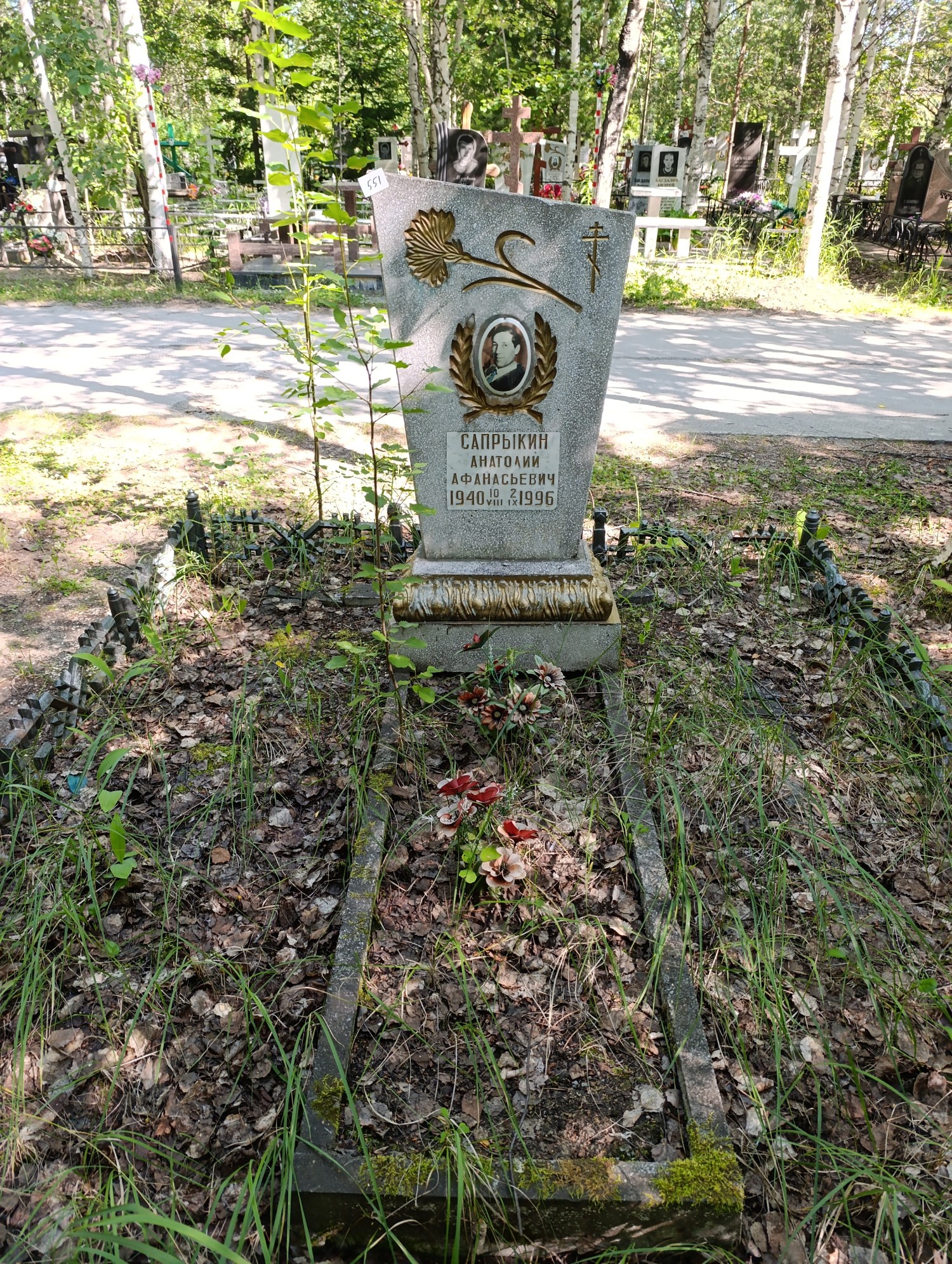 Сапрыкин Анатолий Афанасьевич