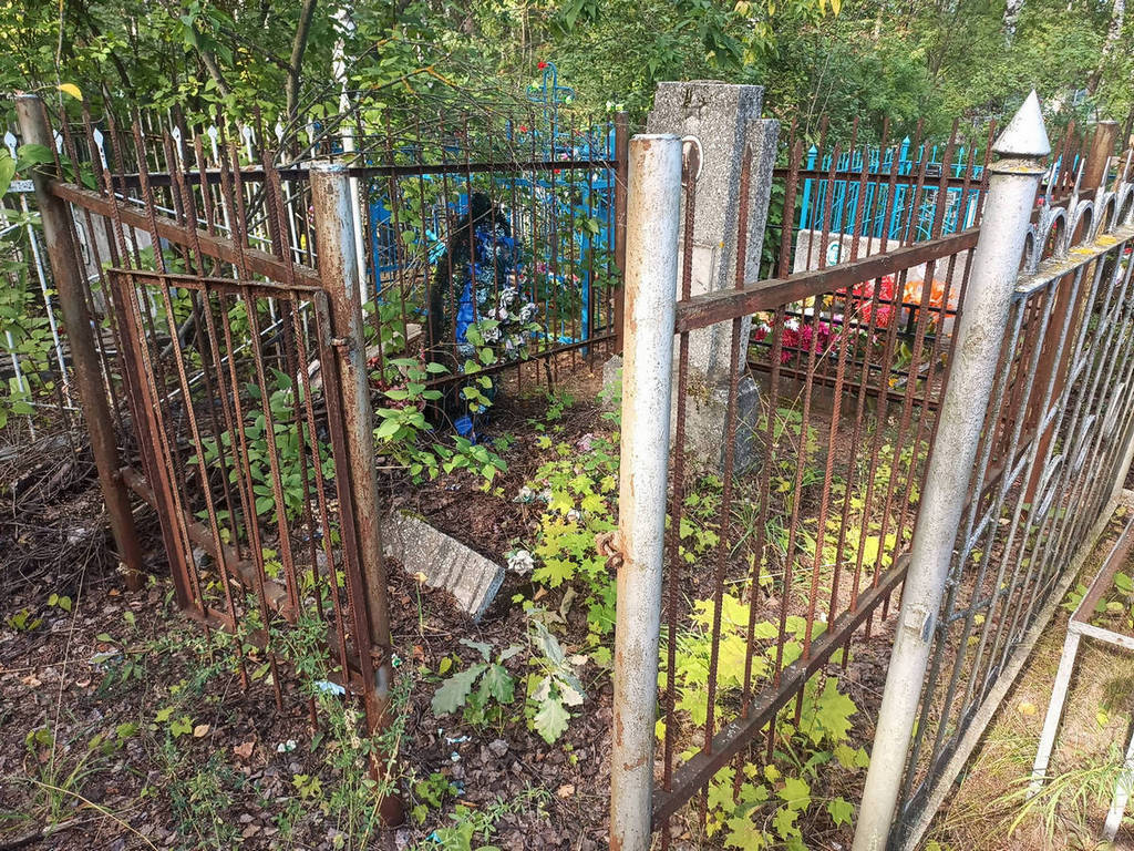Балушев Александр Николаевич
