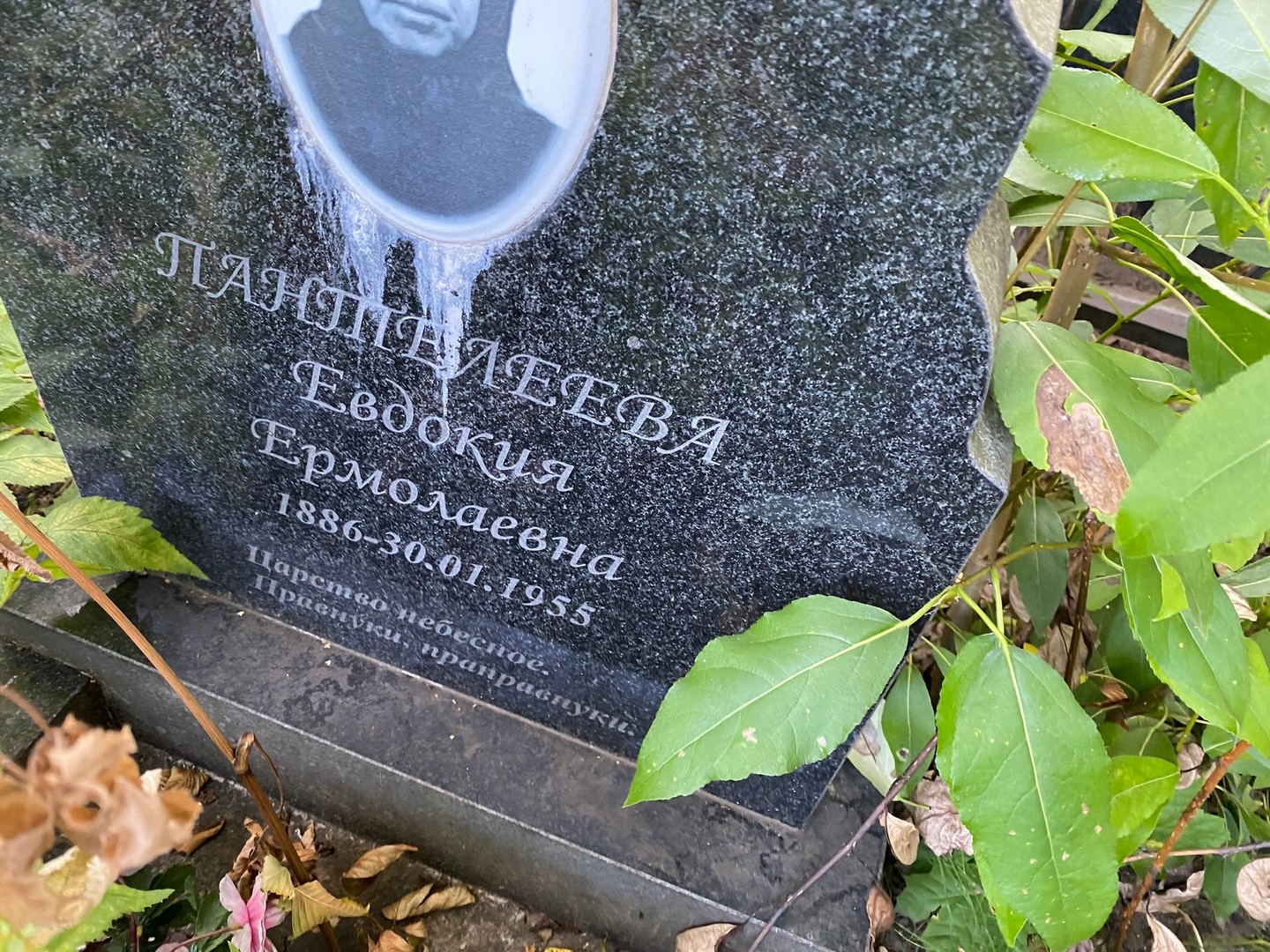 Пантелеева