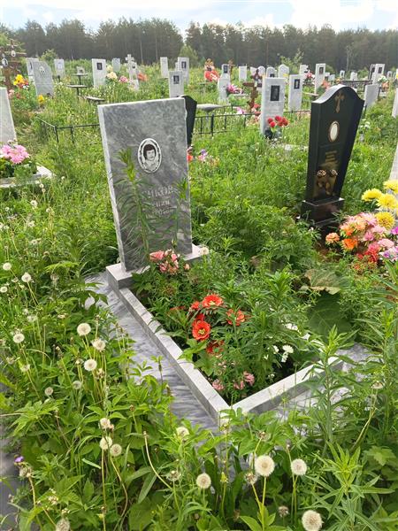 Дейков Степан Вольтерович
