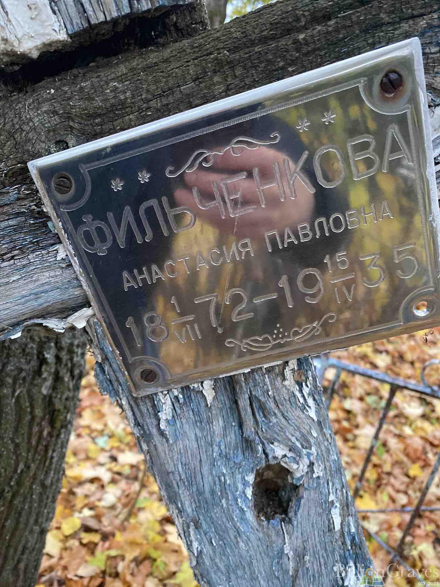 Фильченкова Анастасия Павловна