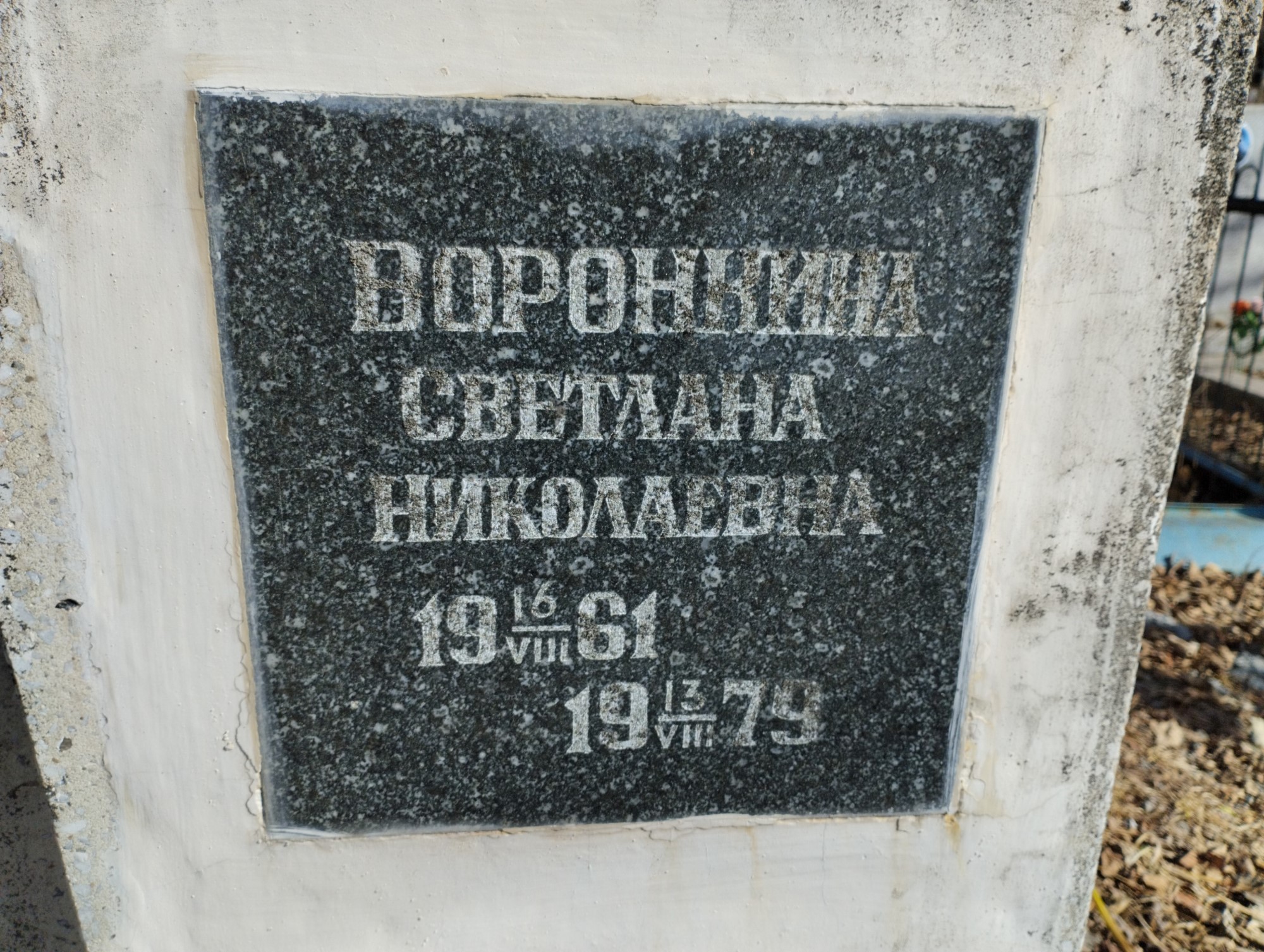 Воронкина Светлана Николаенва