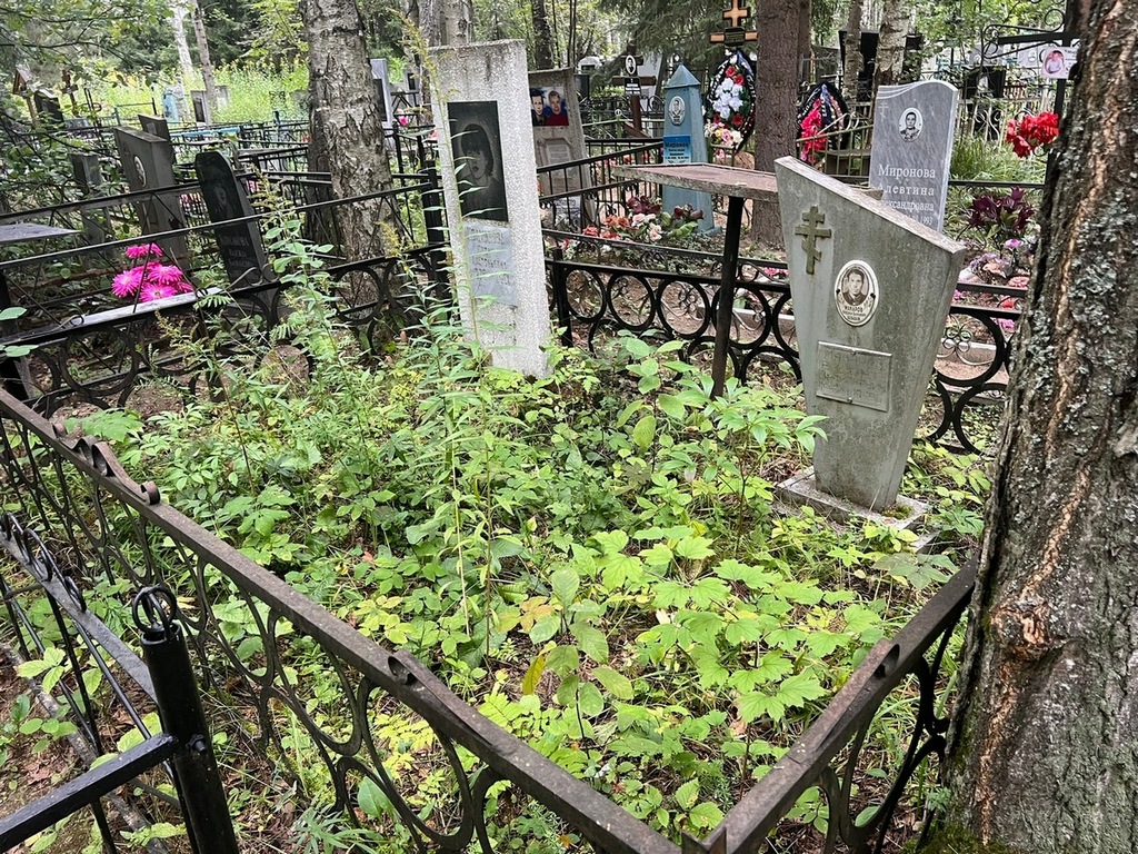 Макаров Александр Васильевич