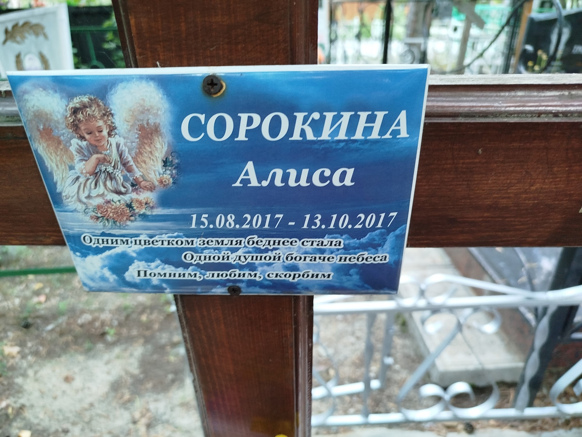 Сорокина Алиса