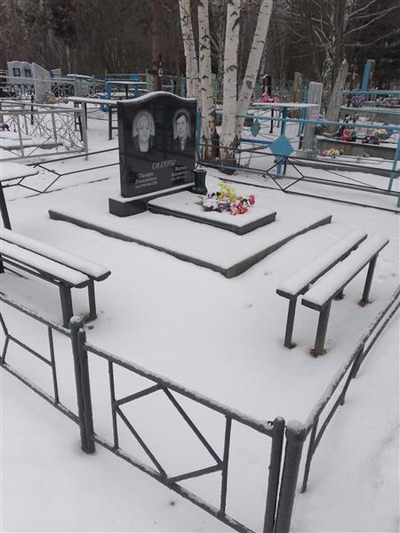 Силин Виктор Михайлович