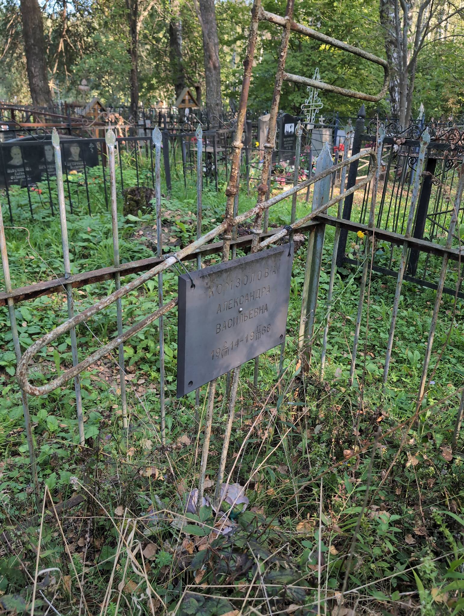 Комзолова Александра Васильевна