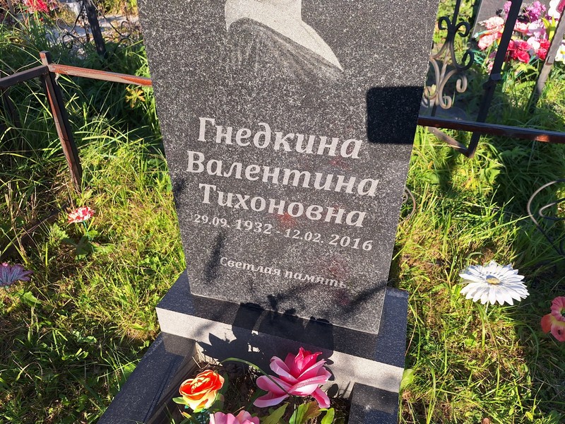 Гнедкина