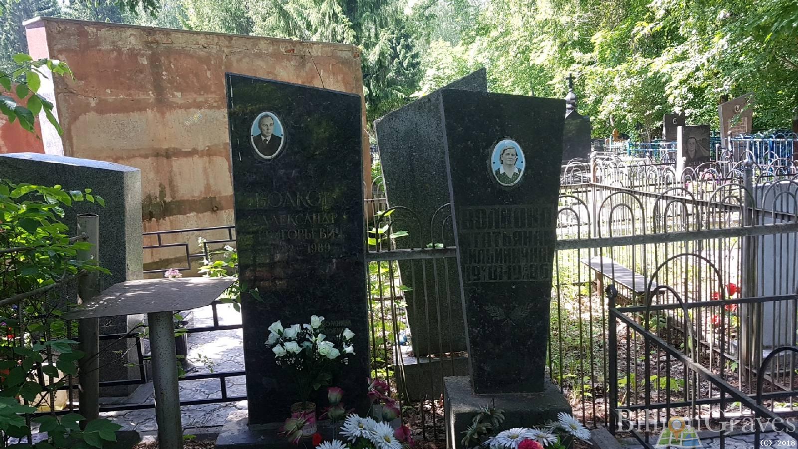 Волковa Татьяна Ильиничнa