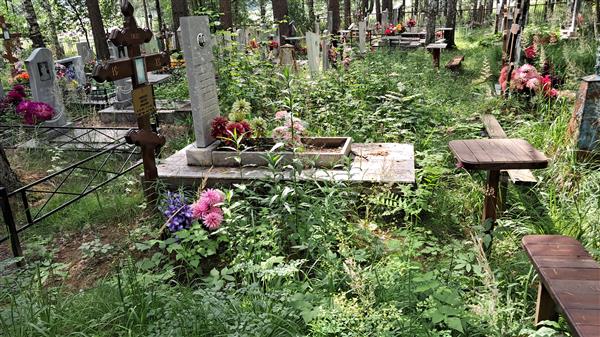 Андреев Виктор Юрьевич