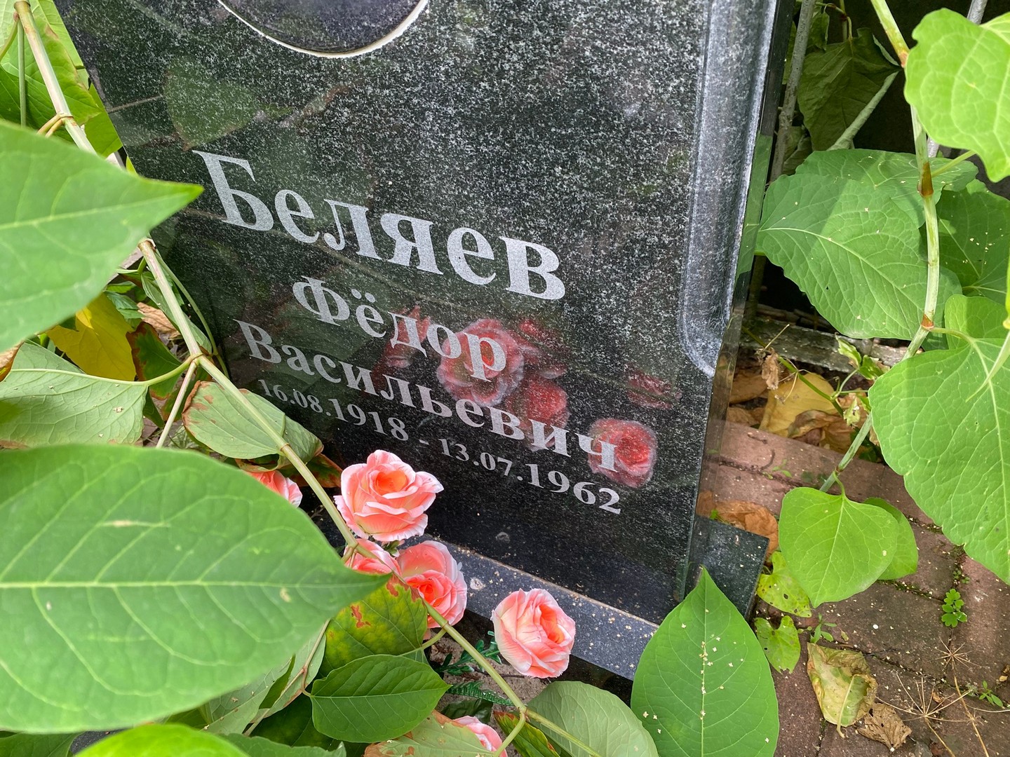 Беляев