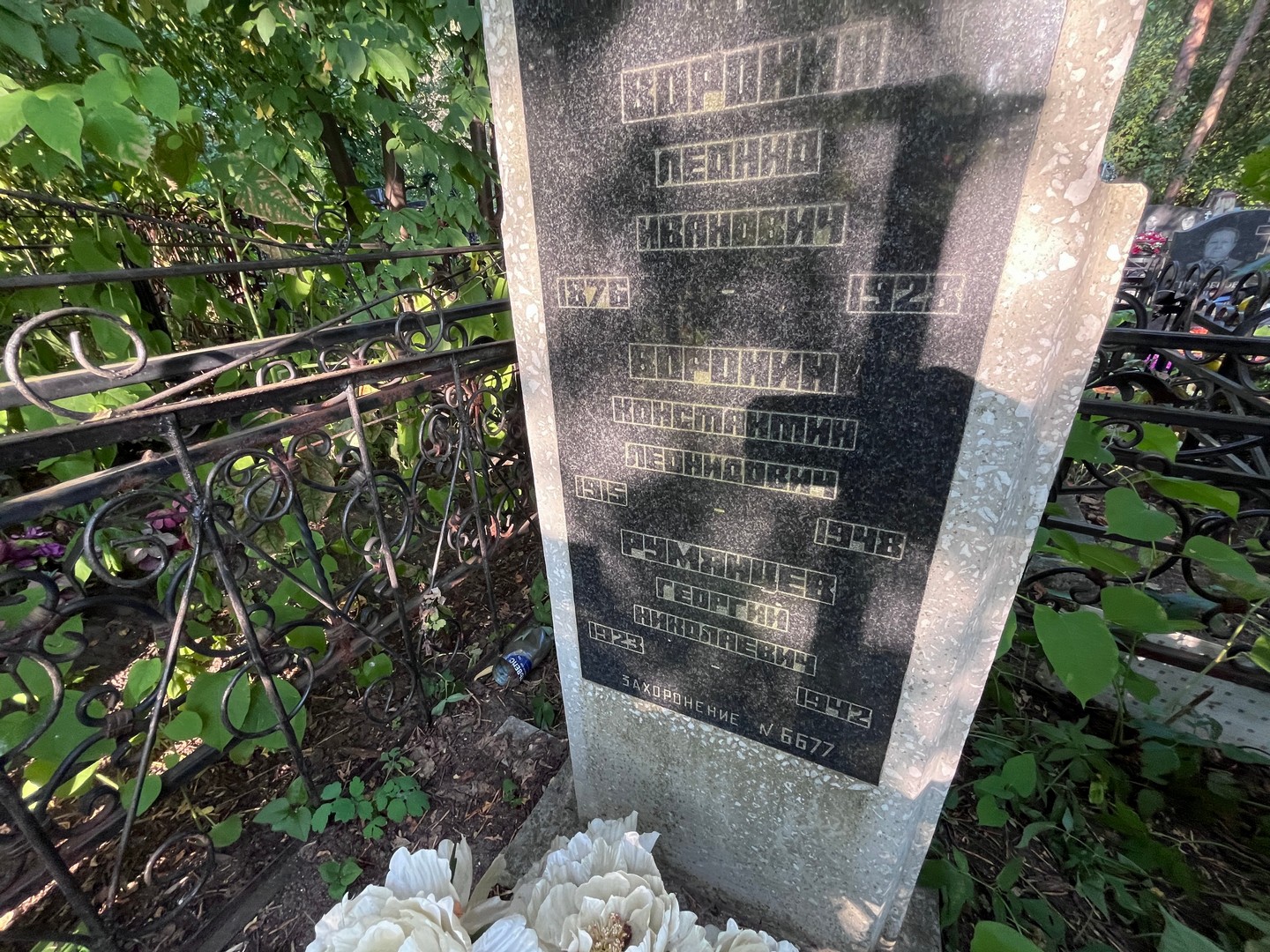 Воронин