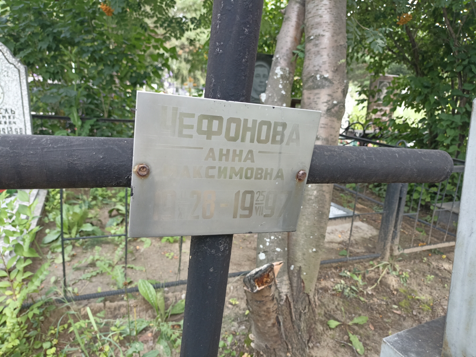 Чефонова Анна Максимовна