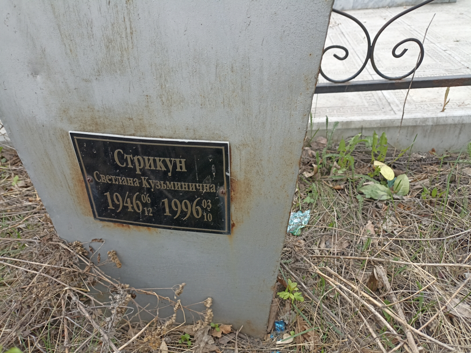 Стрикун Светлана Кузьминична
