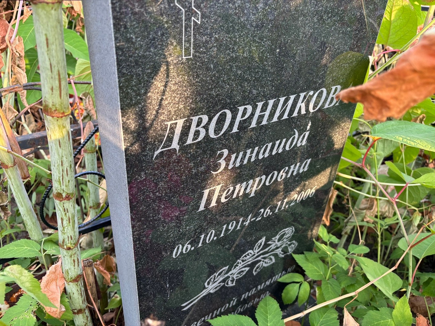 Дворникова
