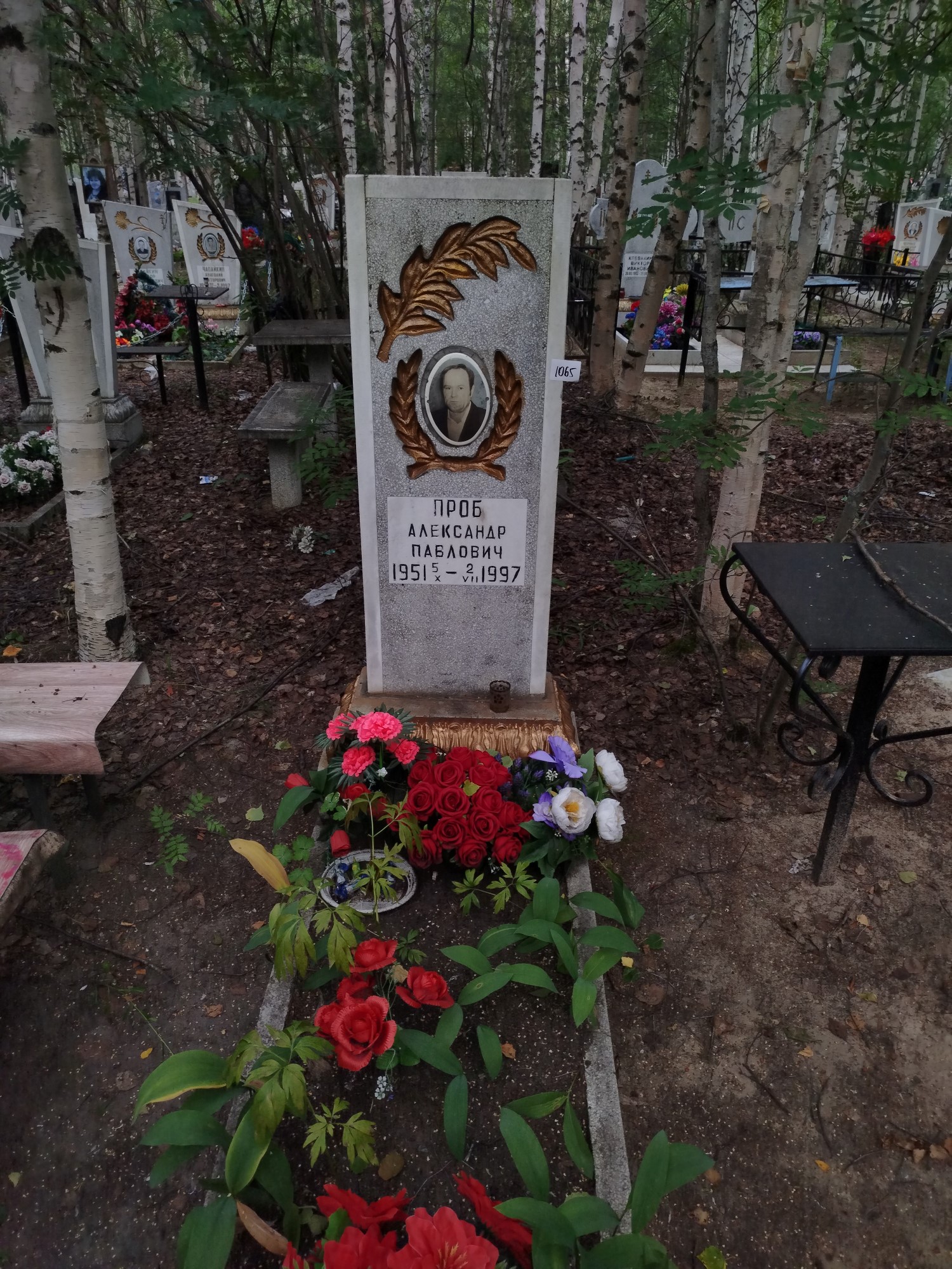 Проб Александр Павлович