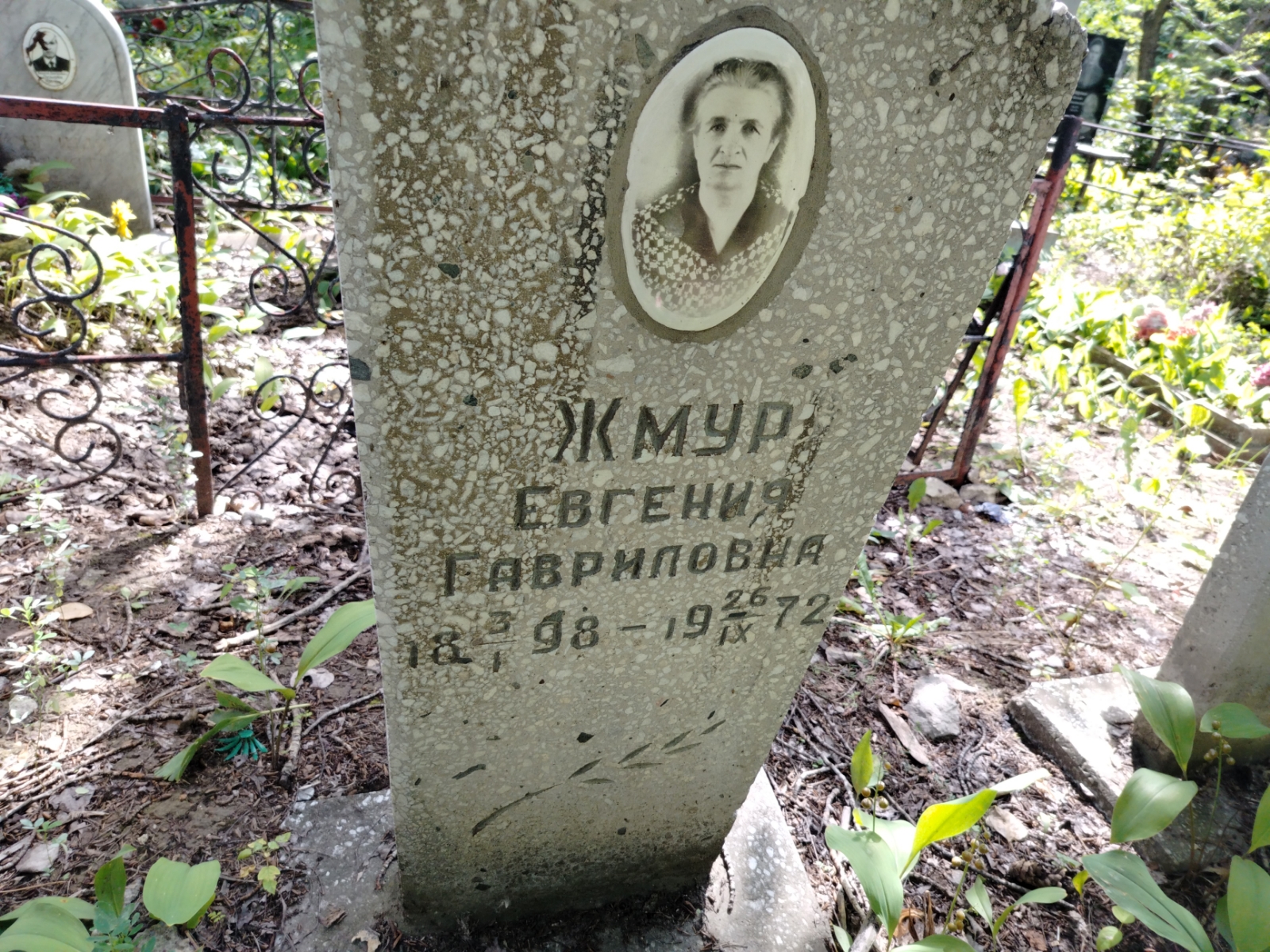Жмур Евгений Гавриловна