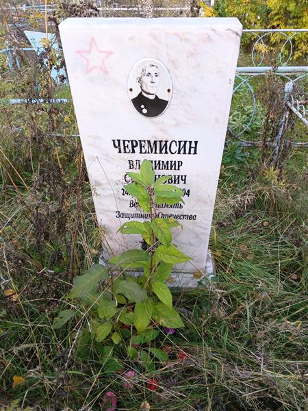 Черемисин Владимир Степанович