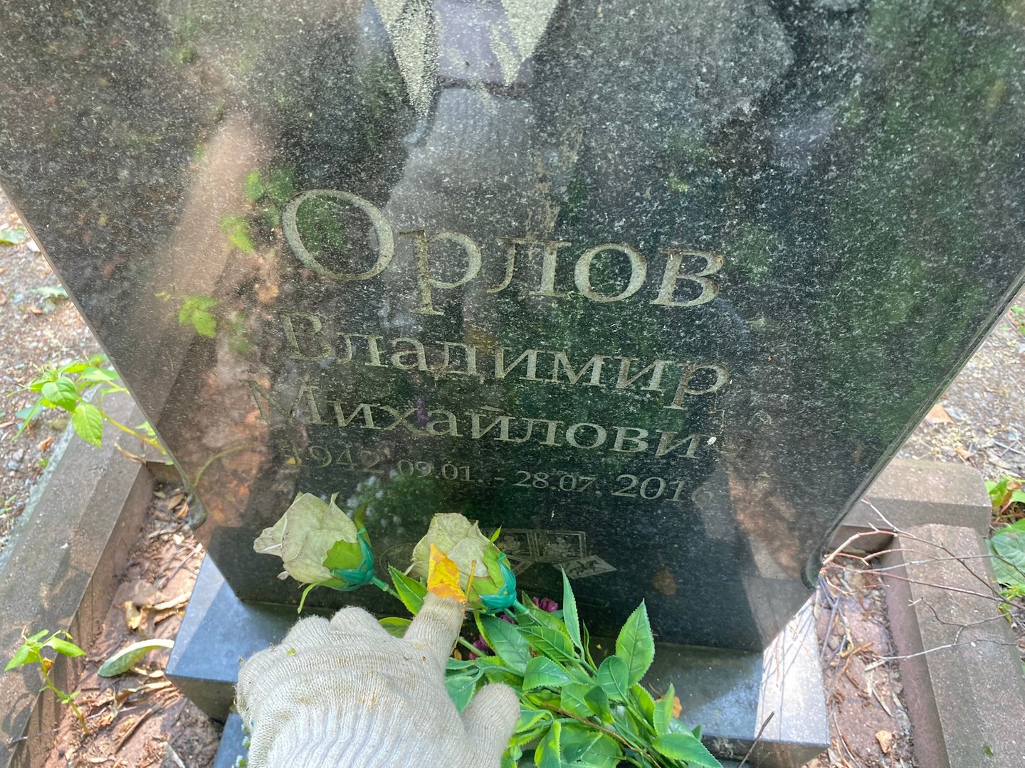 Орлов