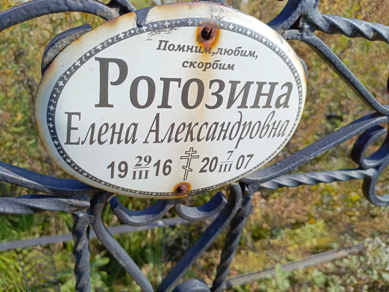 Рогозина