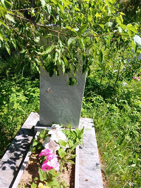 Чечулина Пелагея Борисовна