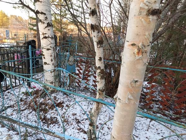 Котвицкий Александр Иванович