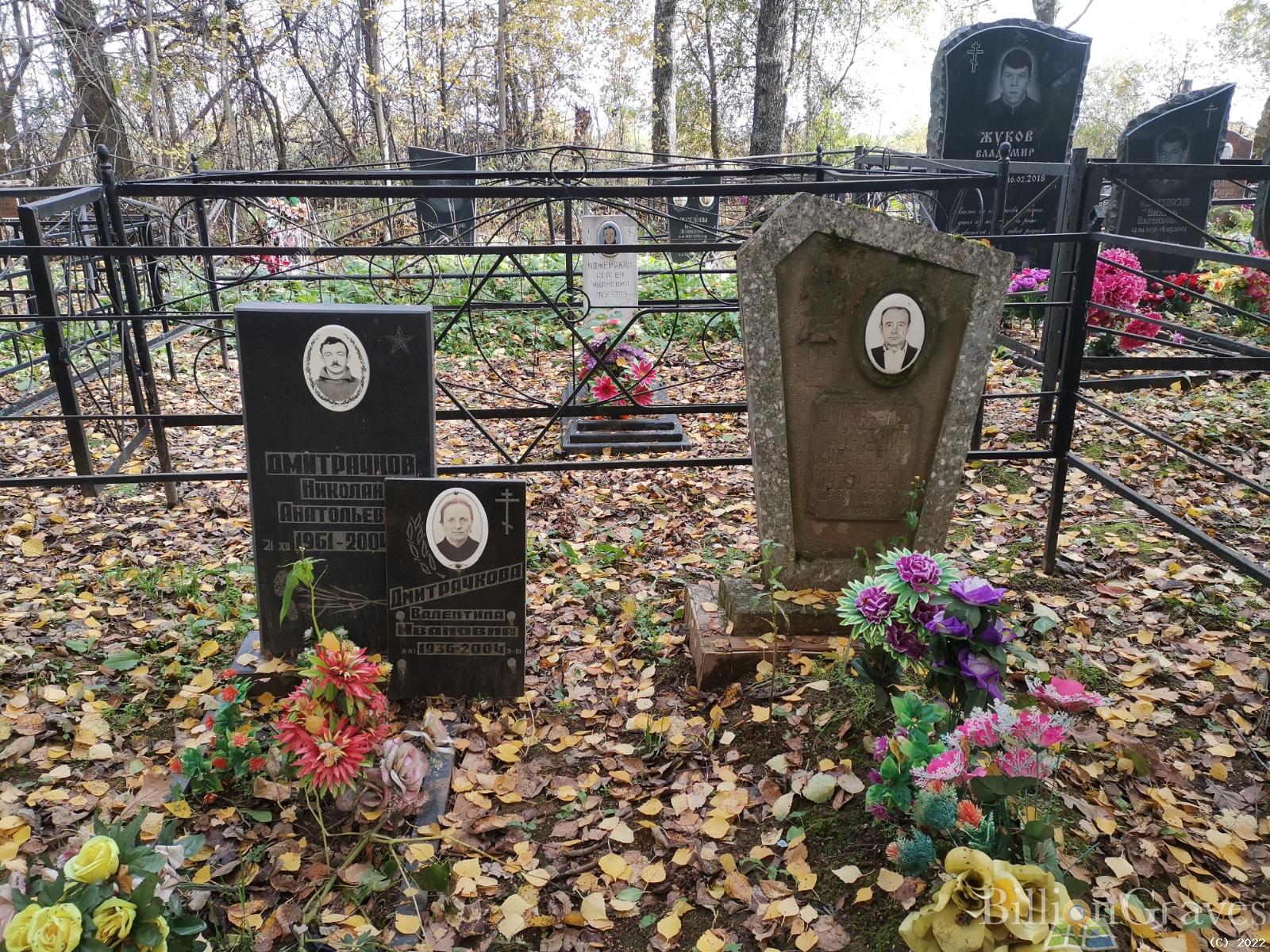 Дмитрачков Николай Анатольевич