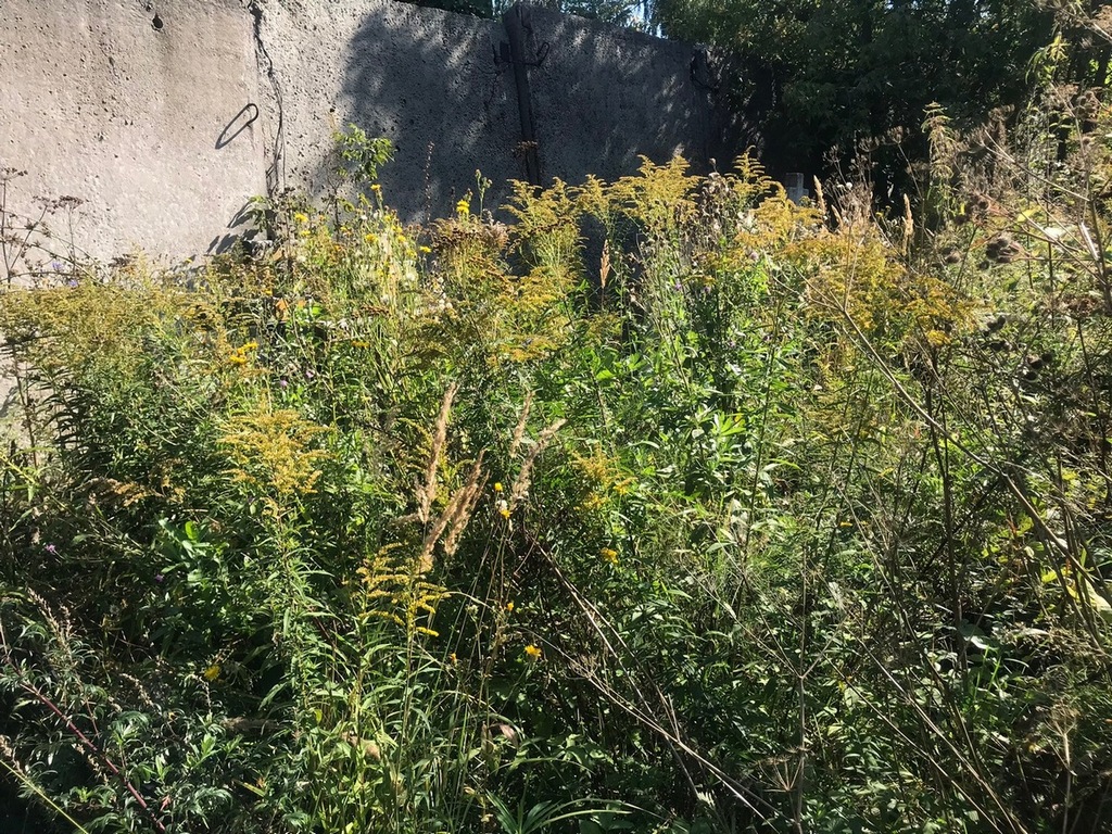 Борохова Нина Николаевна