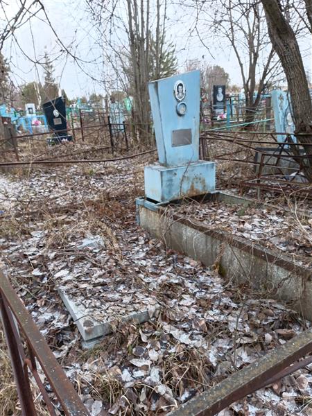 Толстая Нина Домиковна