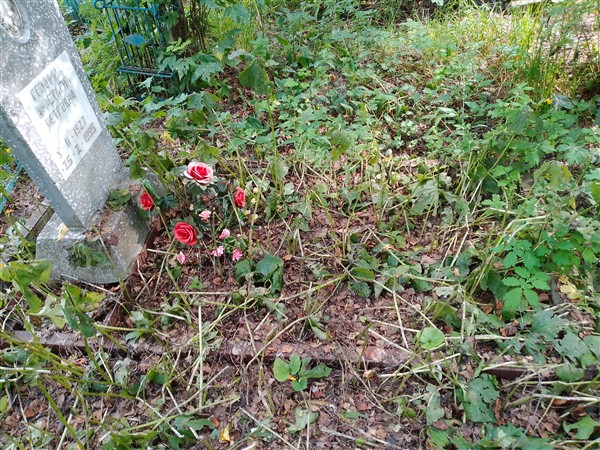 Гришина Анастасия Петровна