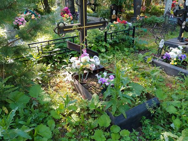 Косарев Андрей Васильевич