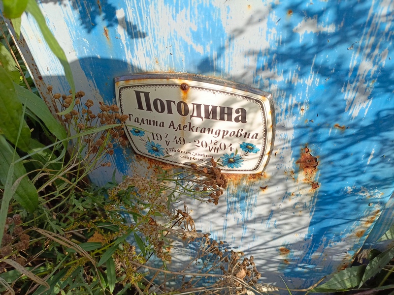 Погодина