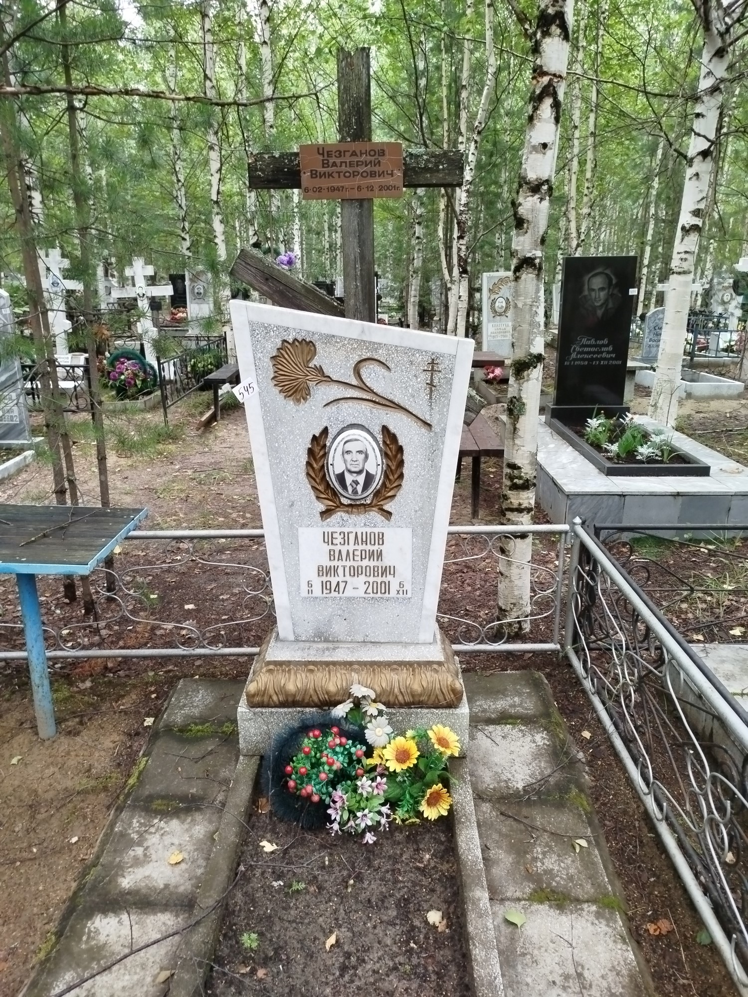 Чезганов Валерий Викторович