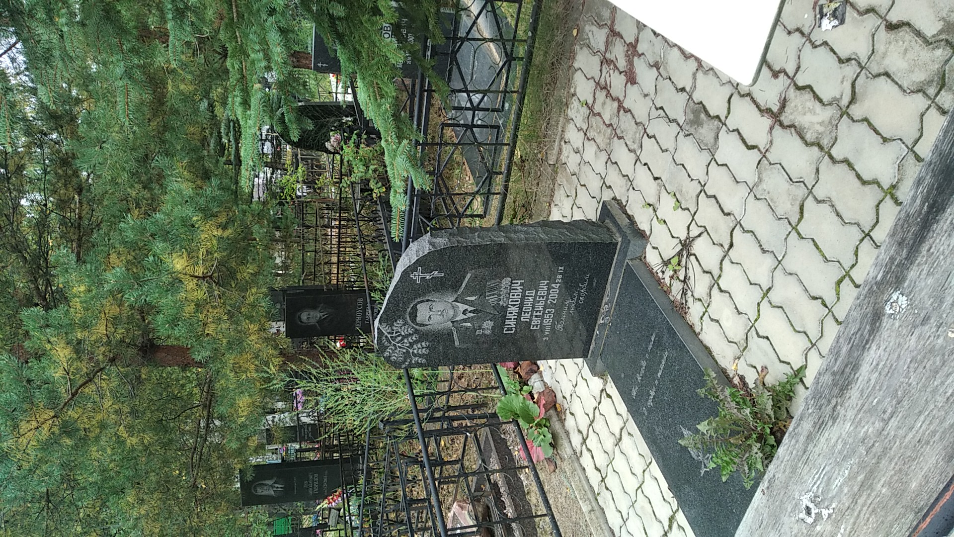 Синякович Леонид Евгеньевич