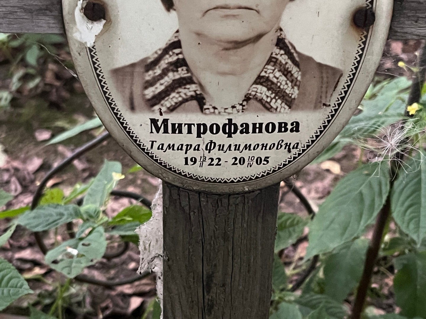 Митрофанова