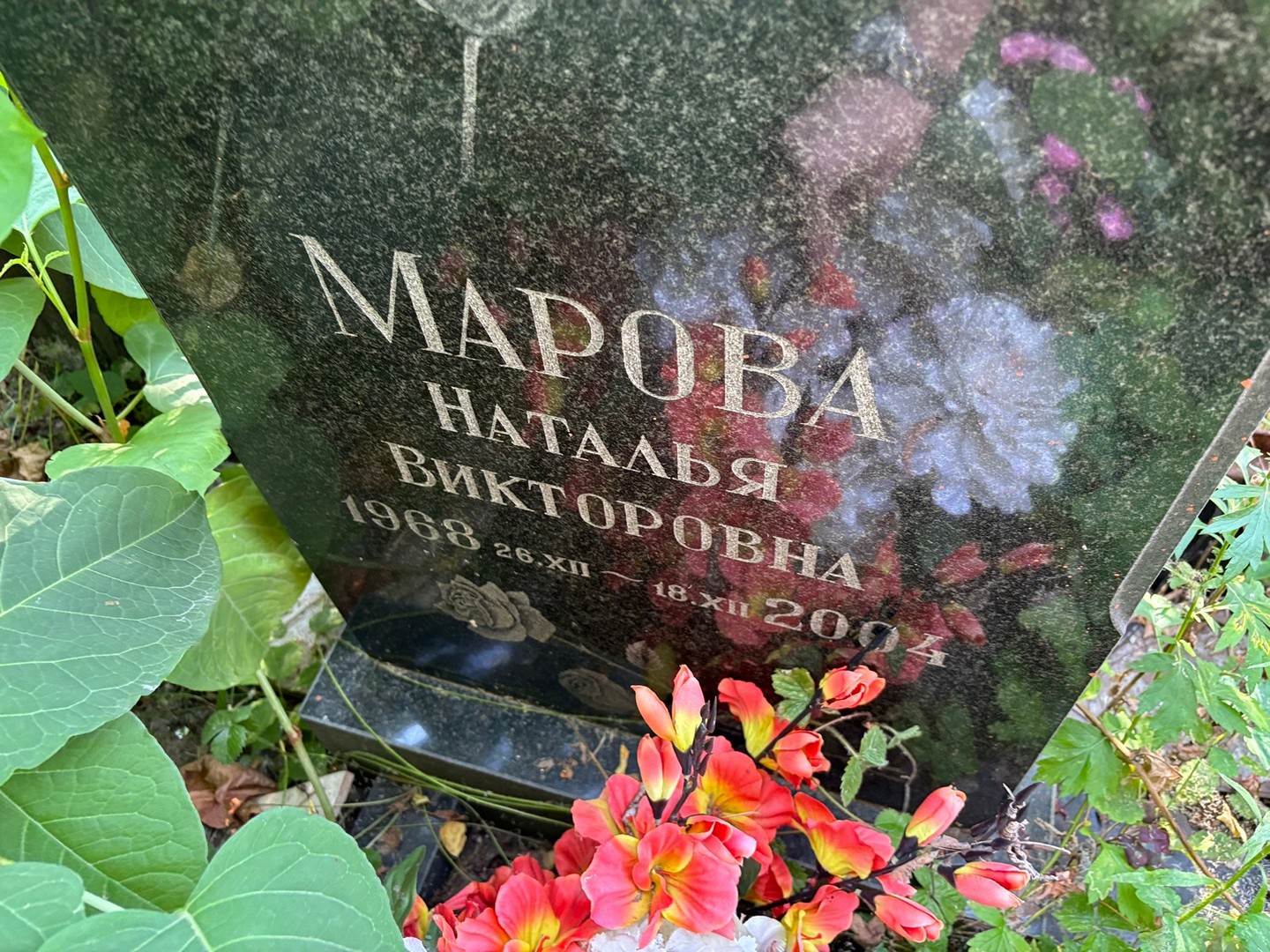 Марова