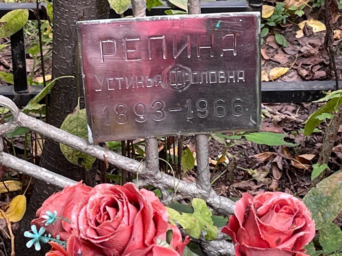 Устинья Репина Федоровна