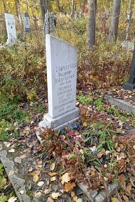 Гончаров Владимир Алексеевич
