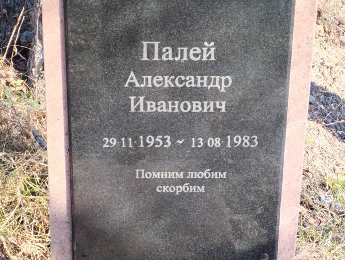 Палей Александр Иванович